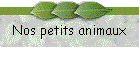 Nos petits animaux